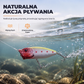 🐠 Zestaw wędkarski z niespodzianką – pudełko z różnorodnymi przynętami