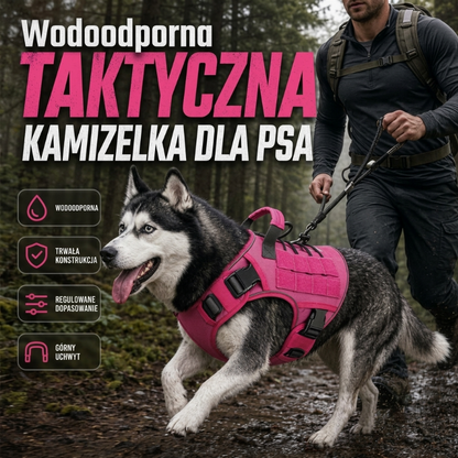 🐕Regulowany pas do przenoszenia zwierząt domowych – wygodny i bezpieczny sposób transportu małych zwierząt