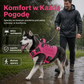 🐕Regulowany pas do przenoszenia zwierząt domowych – wygodny i bezpieczny sposób transportu małych zwierząt