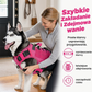 🐕Regulowany pas do przenoszenia zwierząt domowych – wygodny i bezpieczny sposób transportu małych zwierząt